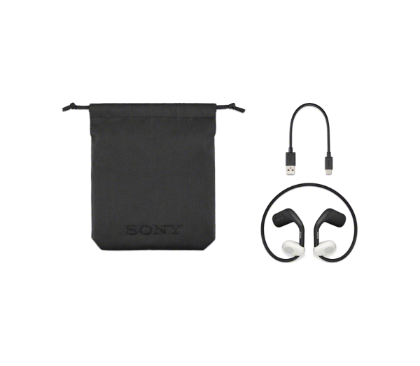 thumbnails_large_Asset+Hierarchy_Consumer+Assets_Accessories_Headphones_Earbuds_2023_WIOE610-B_eComm+Product+Images_7_Float.png