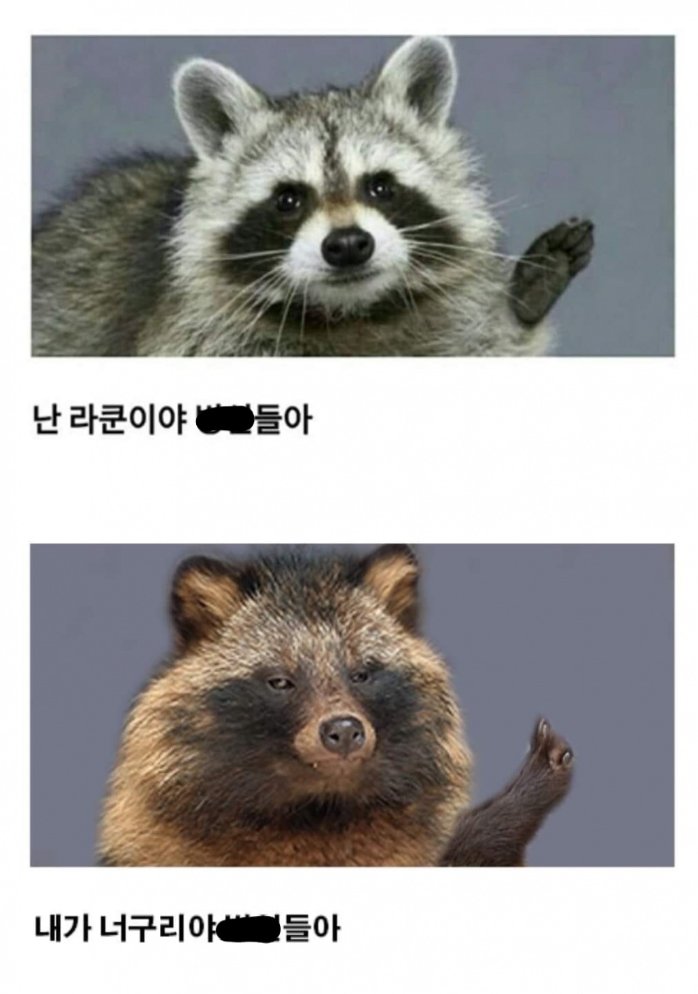 너굴맨.jpg