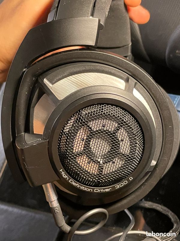 HD 800s.jpg