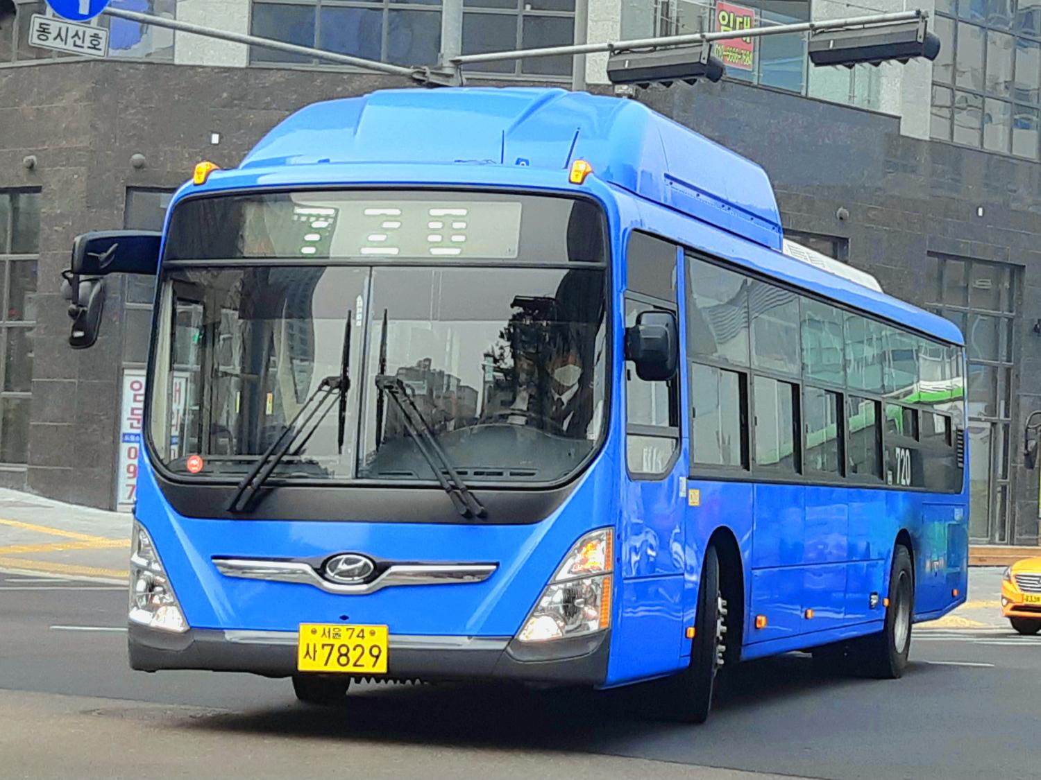 Seoul_Blue_Bus (1).jpg