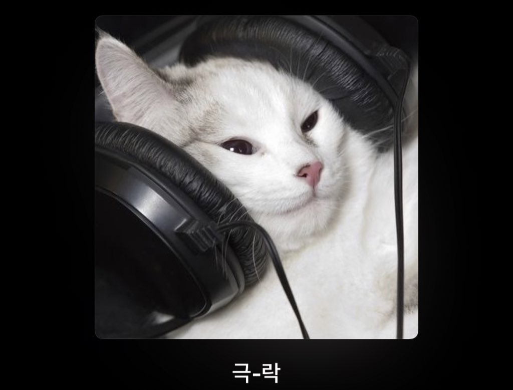 제목 없음.png