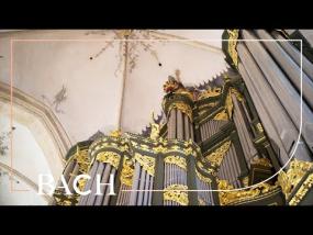 Bach - Toccata and Fugue in D minor BWV 565 - Van Doeselaar | Netherlands Bach Society