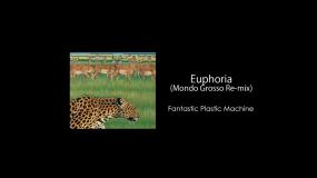 Fantastic Plastic Machine - Euphoria (Mondo Grosso Re-mix)