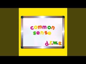 d.r.w.s - common sense