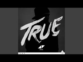 Avicii - all you need is love