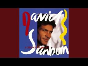 The Dream - David Sanborn (Fusion Jazz, Saxophone, 1987) 퓨전재즈 계속