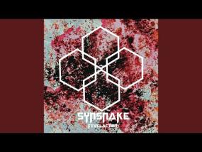 Synsnake - Amped Up High (feat. Kaptin Zak)