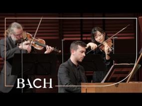 Bach - Harpsichord concerto in A major BWV 1055 - Corti | Netherlands Bach Society