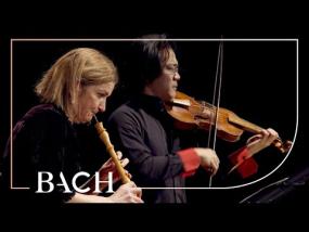 Bach - Concerto for Oboe and Violin in C Minor BWV 1060R - Black and Sato | Netherlands Bach Society