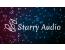 17일 Starry Audio 신작 이어폰 syzygy 출시 예정