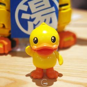 [사진] Duck = 오리